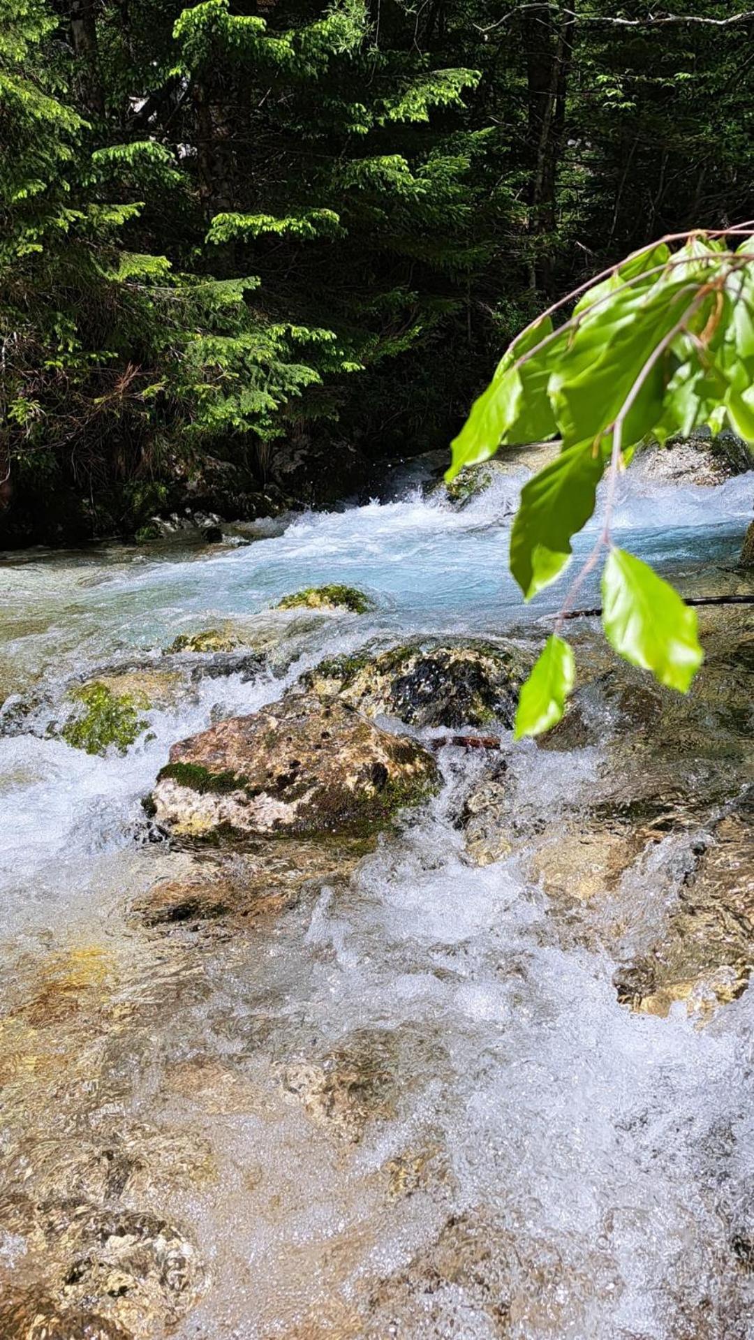 Holiday Home By The Emerald River Soča Eksteriør bilde